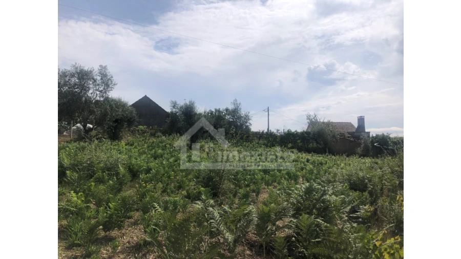 Quinta T1 para Venda em Figueiró dos Vinhos e Bairradas Foto 16