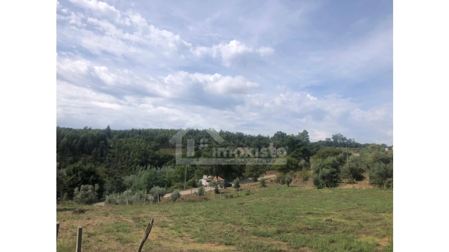 Quinta T1 para Venda em Figueiró dos Vinhos e Bairradas Foto 17