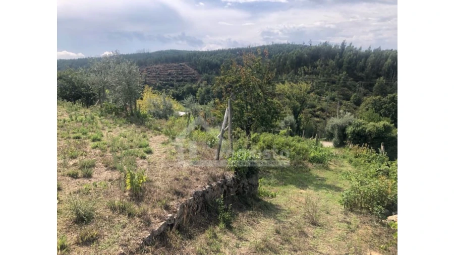 Quinta T1 para Venda em Figueiró dos Vinhos e Bairradas Foto 18