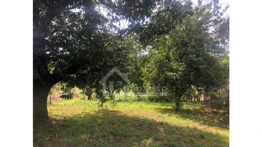 Quinta T1 para Venda em Figueiró dos Vinhos e Bairradas Foto 20