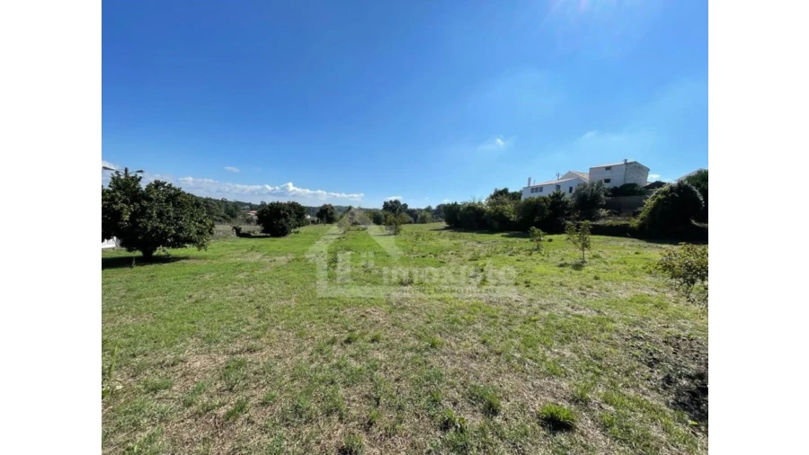 Terreno Agricola ou Rústico para Venda em Arega Foto 3