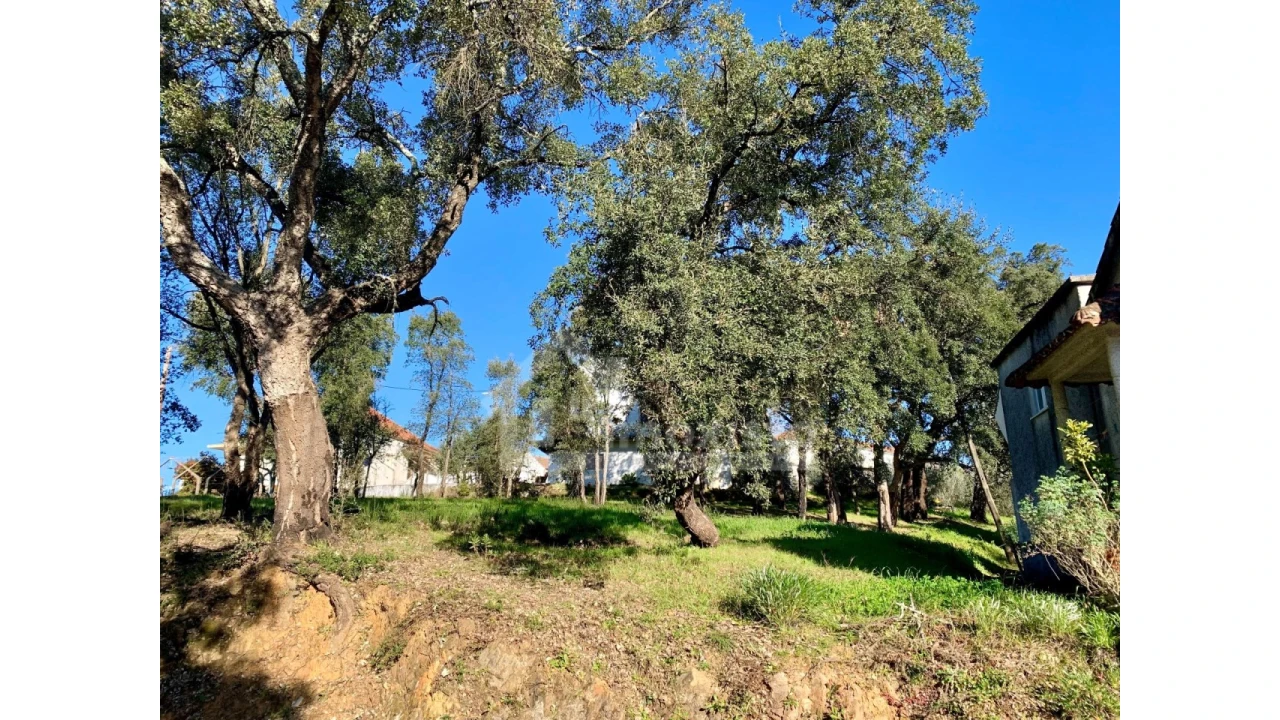 Terreno Agricola ou Rústico para Venda em Pedrogão Grande Foto 2