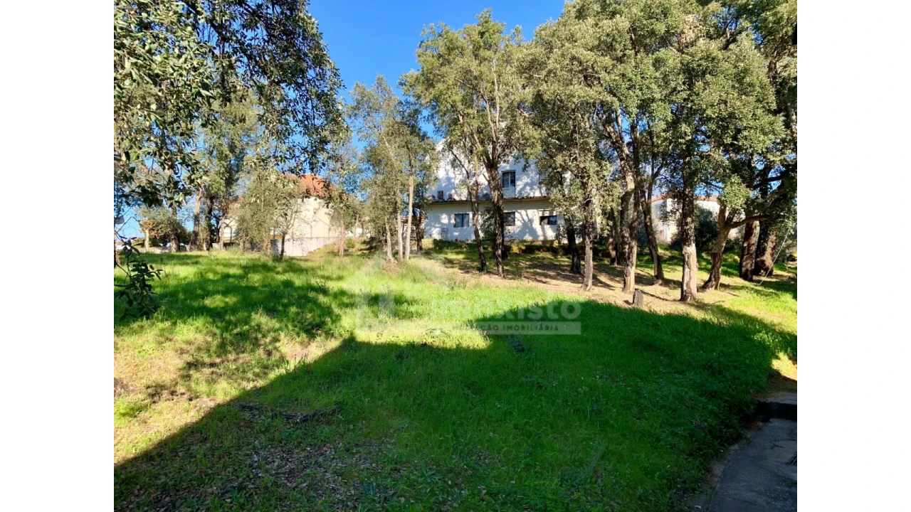 Terreno Agricola ou Rústico para Venda em Pedrogão Grande Foto 6