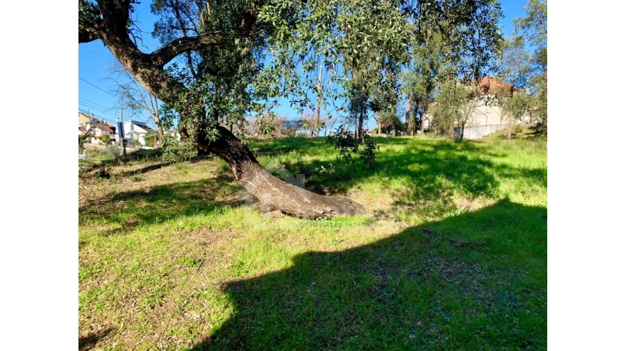 Terreno Agricola ou Rústico para Venda em Pedrogão Grande Foto 3