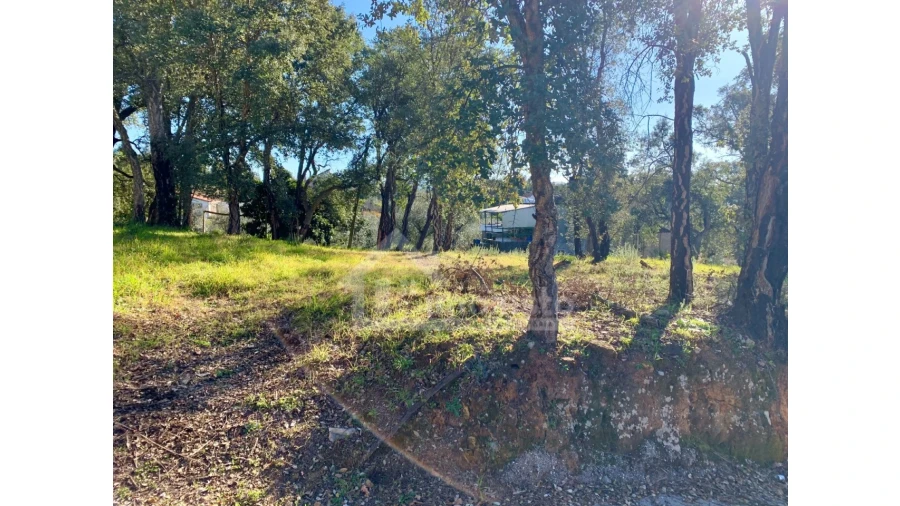 Terreno Agricola ou Rústico para Venda em Pedrogão Grande Foto 4