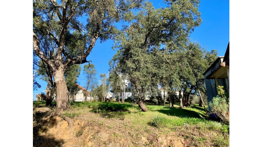 Terreno Agricola ou Rústico para Venda em Pedrogão Grande Foto 2