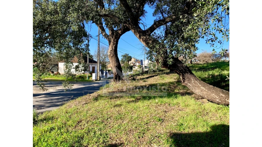 Terreno Agricola ou Rústico para Venda em Pedrogão Grande Foto 5