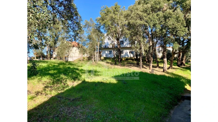 Terreno Agricola ou Rústico para Venda em Pedrogão Grande Foto 6