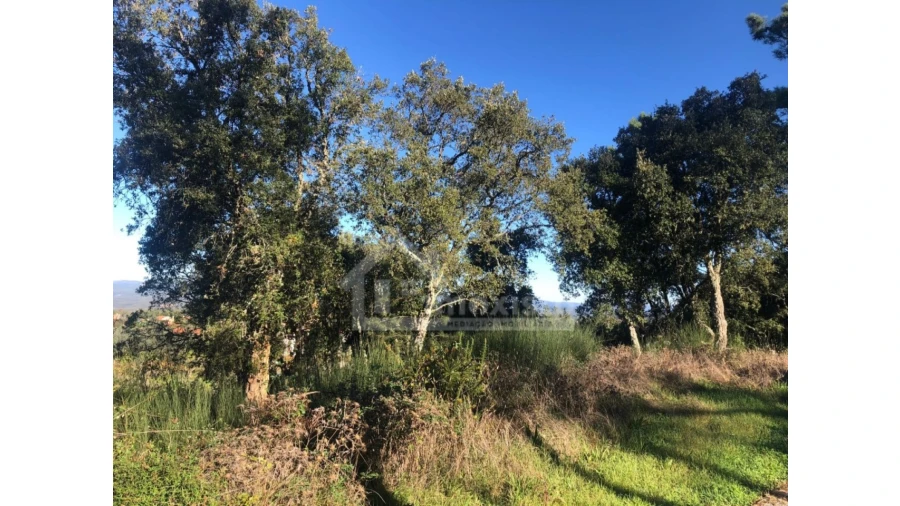 Quinta T1 para Venda em Cernache do Bonjardim, Nesperal e Palhais Foto 3