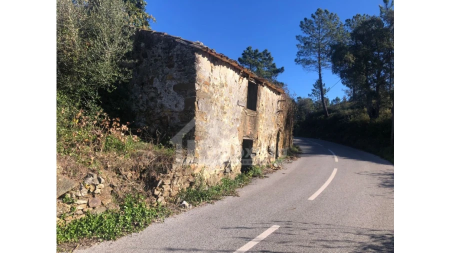 Quinta T1 para Venda em Cernache do Bonjardim, Nesperal e Palhais Foto 5