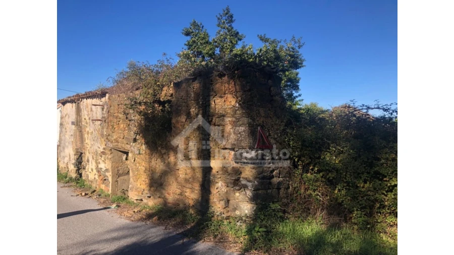 Quinta T1 para Venda em Cernache do Bonjardim, Nesperal e Palhais Foto 6