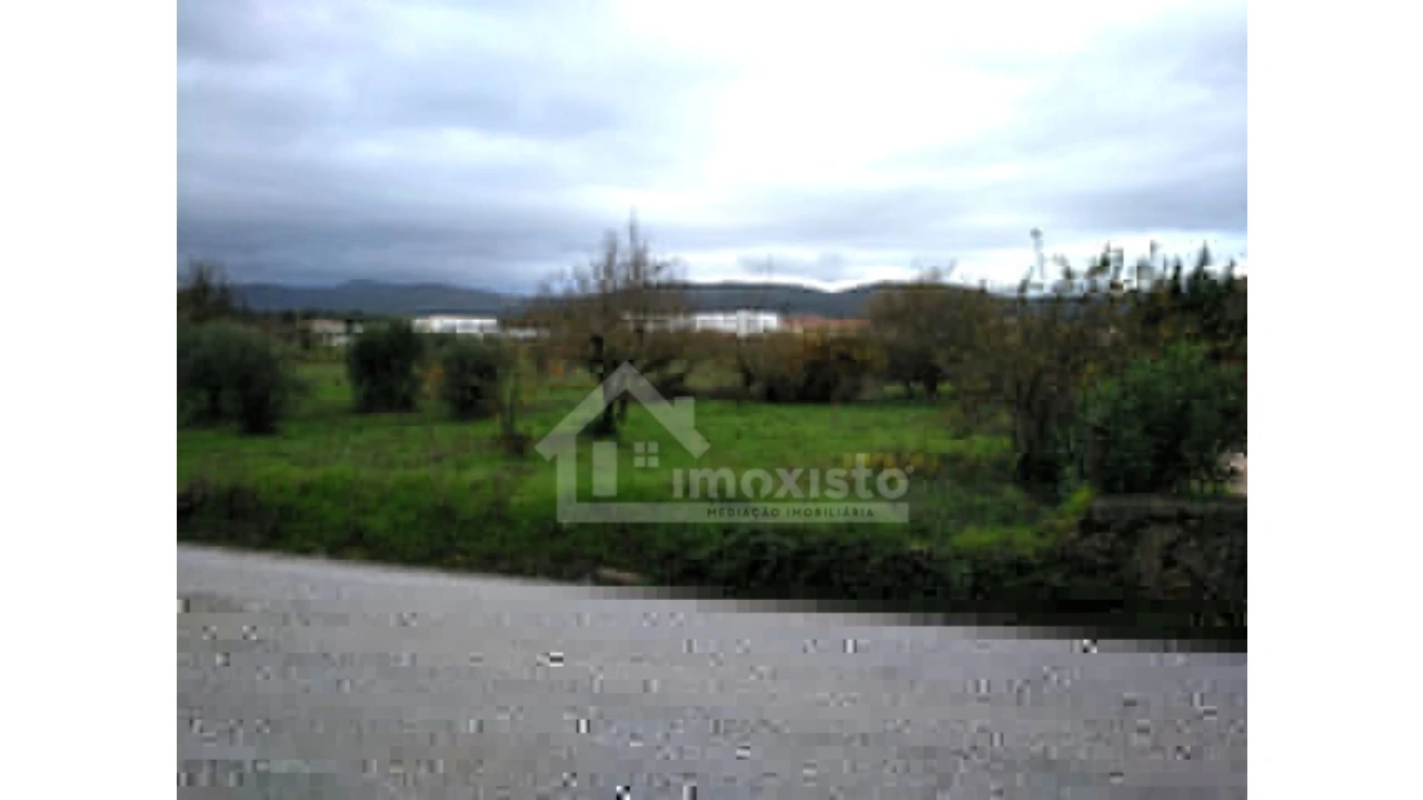 Terreno Agricola ou Rústico para Venda em Ansião Foto 3