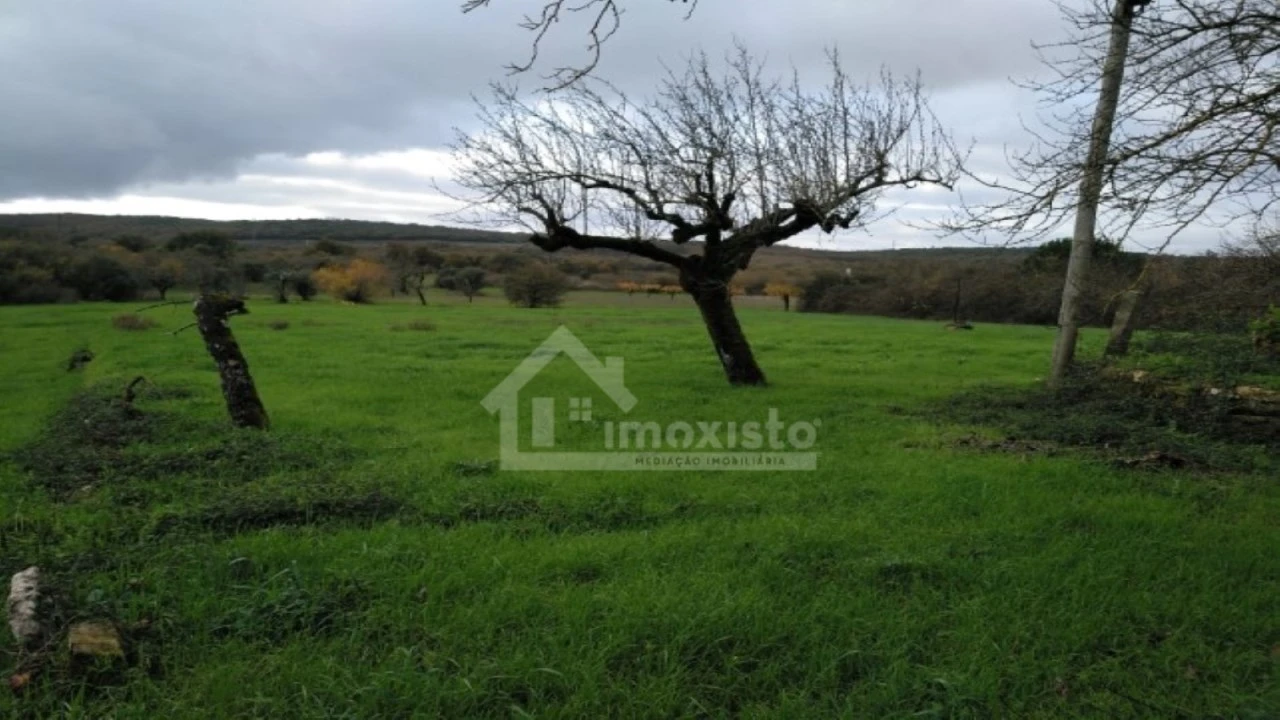 Terreno Agricola ou Rústico para Venda em Ansião Foto 1