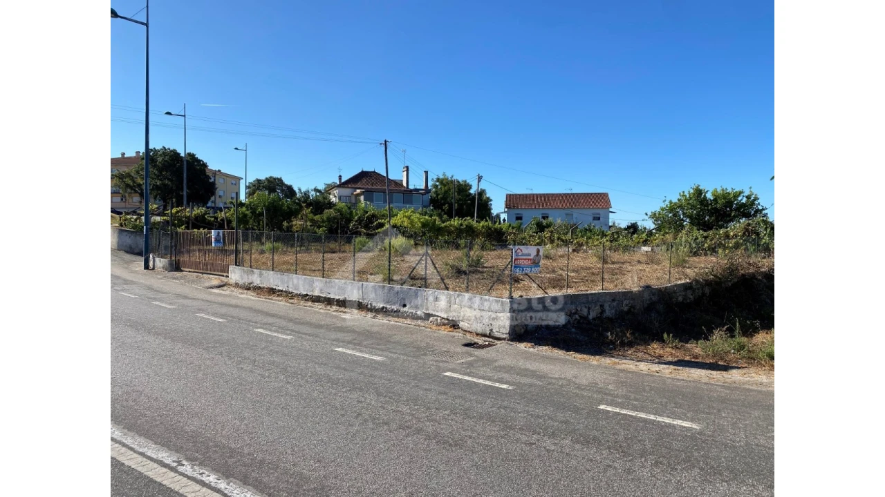 Terreno para Arrendamento em Figueiró dos Vinhos e Bairradas Foto 4