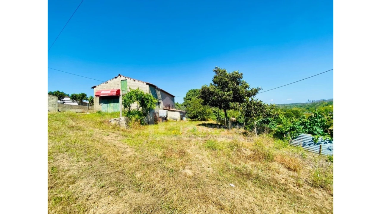 Quinta T1 para Venda em Figueiró dos Vinhos e Bairradas Foto 1