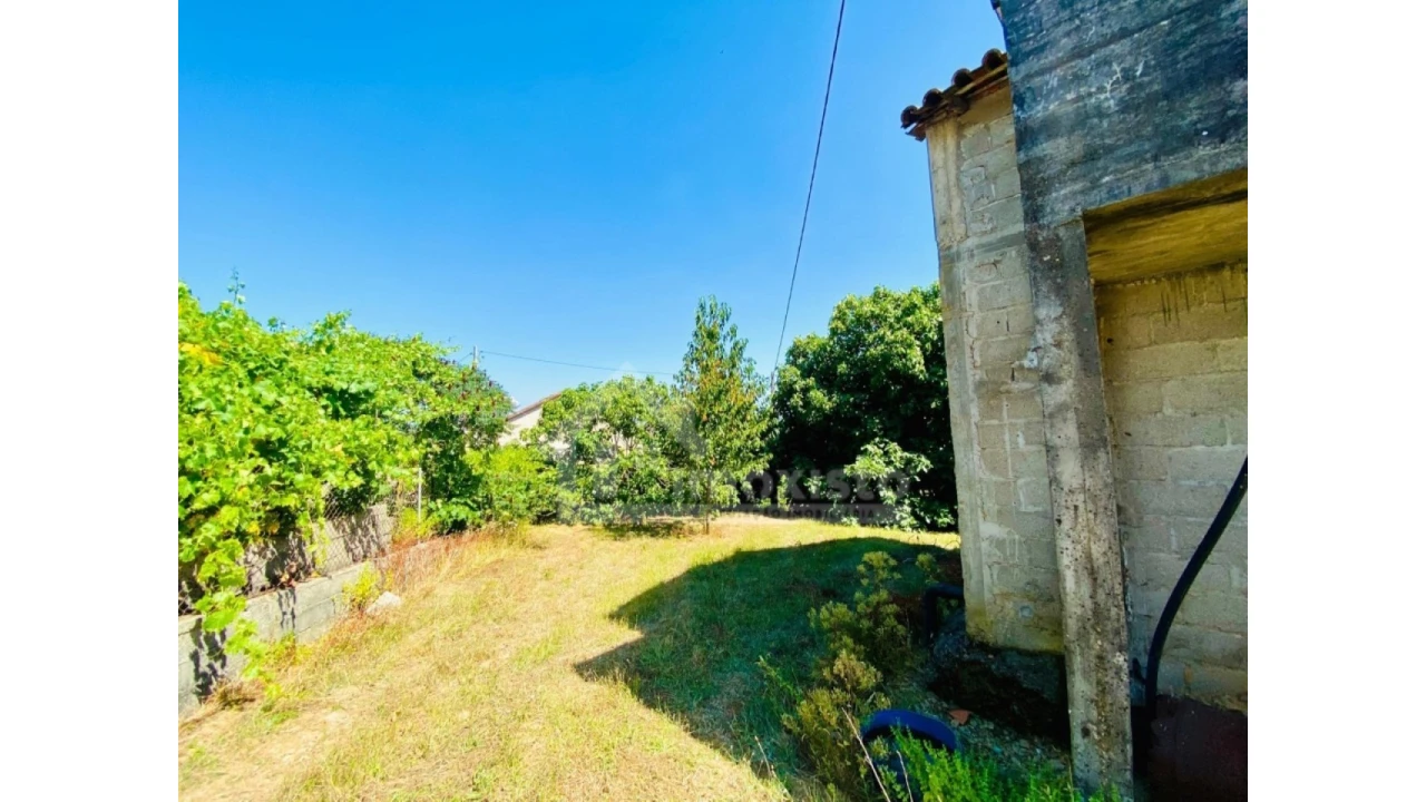 Quinta T1 para Venda em Figueiró dos Vinhos e Bairradas Foto 3