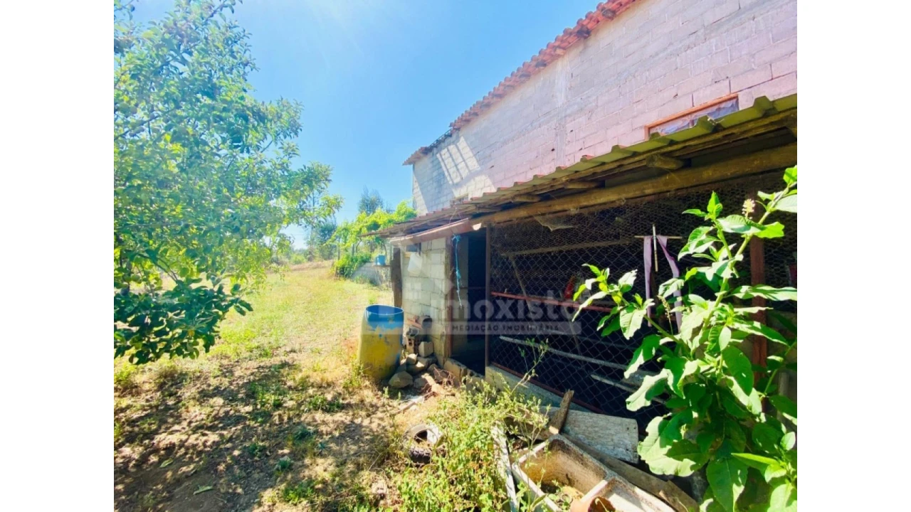 Quinta T1 para Venda em Figueiró dos Vinhos e Bairradas Foto 6