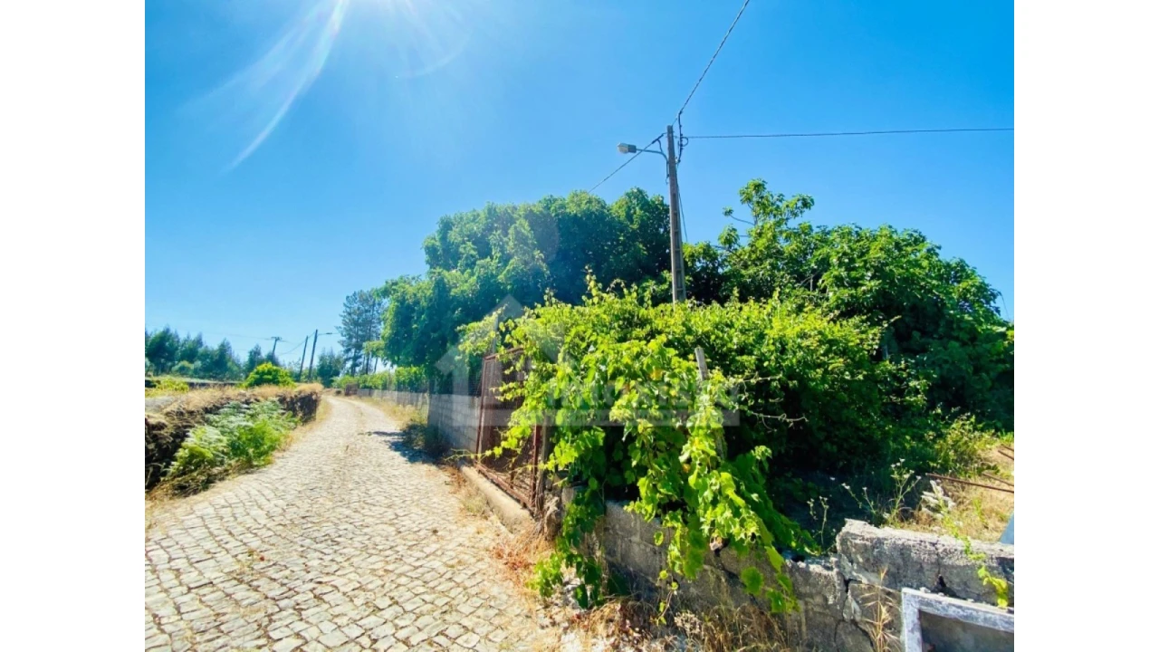 Quinta T1 para Venda em Figueiró dos Vinhos e Bairradas Foto 7