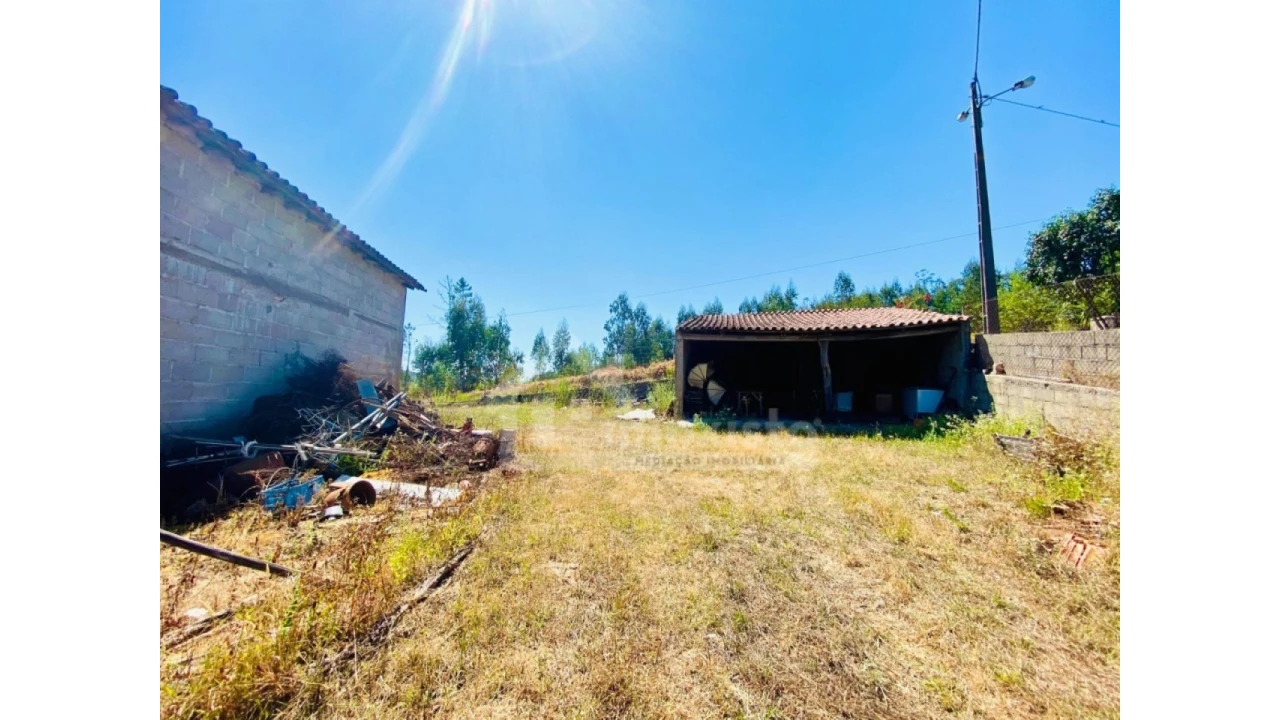 Quinta T1 para Venda em Figueiró dos Vinhos e Bairradas Foto 9