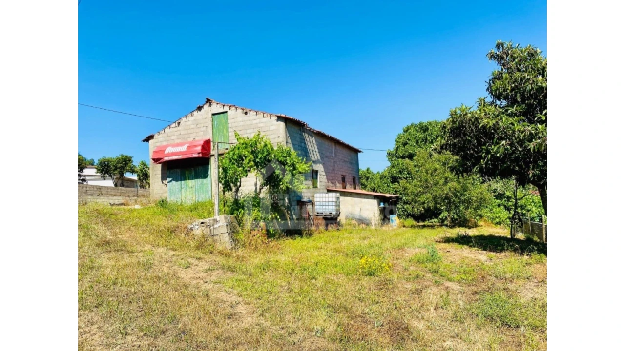 Quinta T1 para Venda em Figueiró dos Vinhos e Bairradas Foto 13