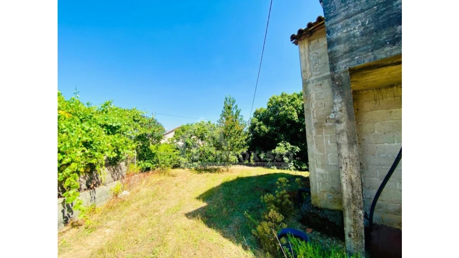 Quinta T1 para Venda em Figueiró dos Vinhos e Bairradas Foto 3