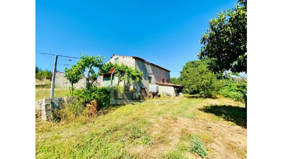 Quinta T1 para Venda em Figueiró dos Vinhos e Bairradas Foto 4