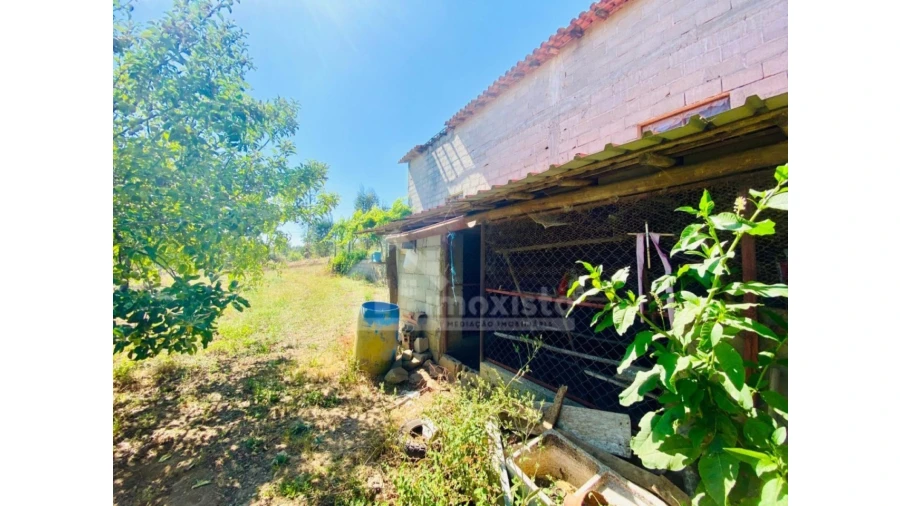 Quinta T1 para Venda em Figueiró dos Vinhos e Bairradas Foto 6