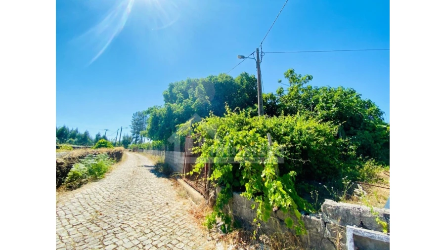 Quinta T1 para Venda em Figueiró dos Vinhos e Bairradas Foto 7
