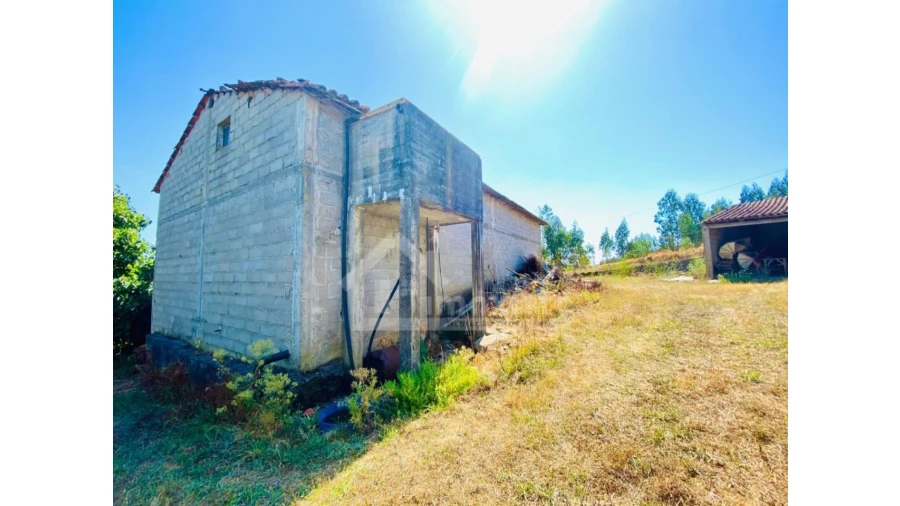 Quinta T1 para Venda em Figueiró dos Vinhos e Bairradas Foto 12