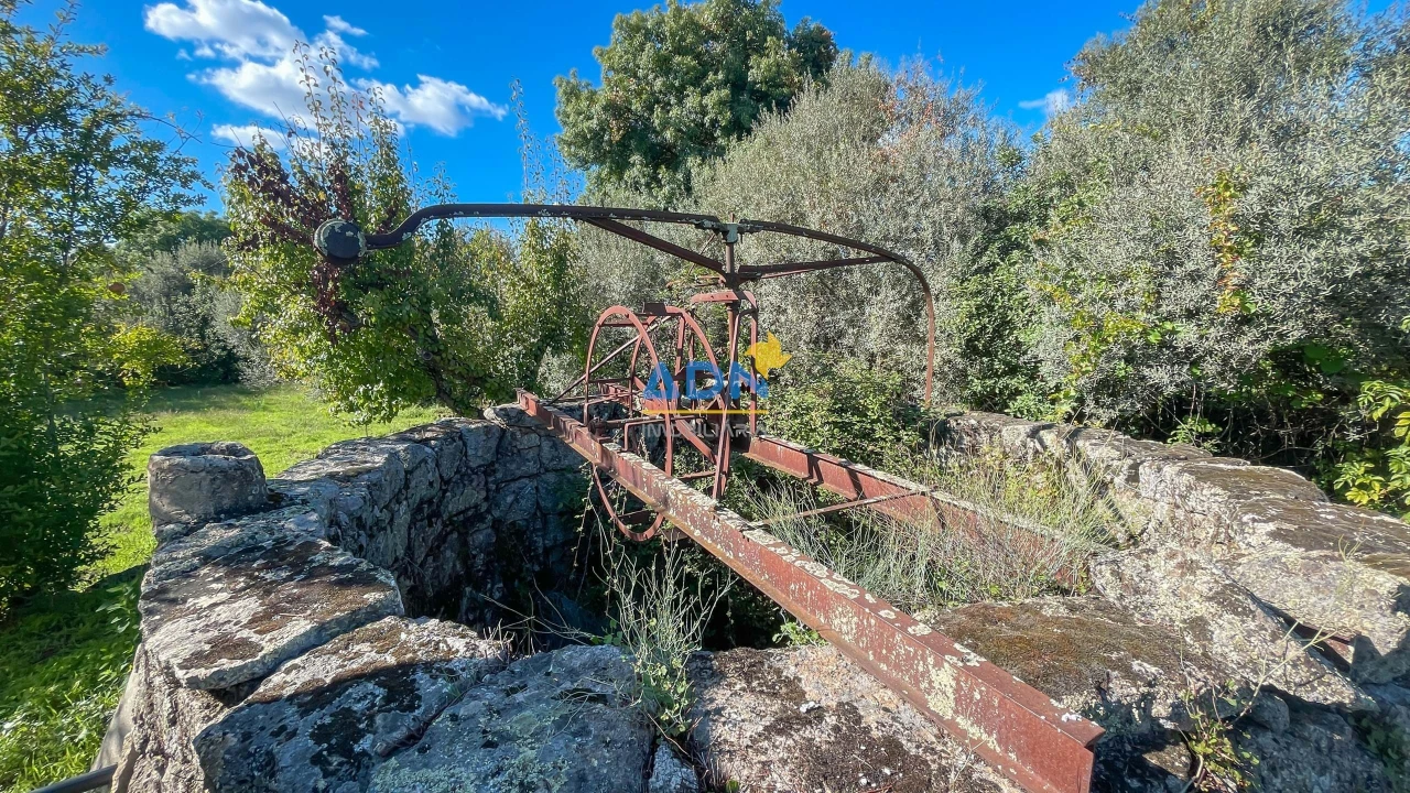 Quinta para Venda em São Miguel de Acha Foto 53