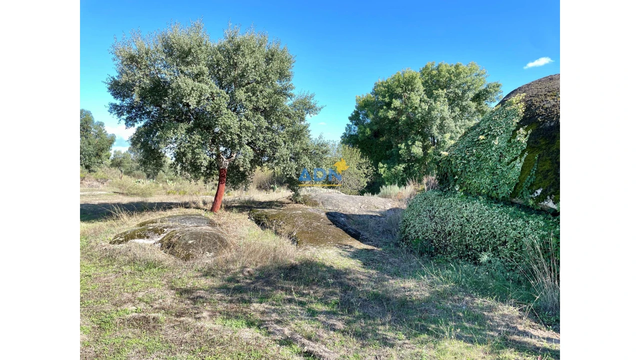 Quinta para Venda em São Miguel de Acha Foto 31