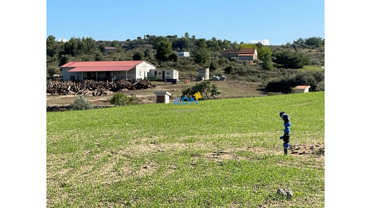 Quinta para Venda em São Miguel de Acha Foto 24