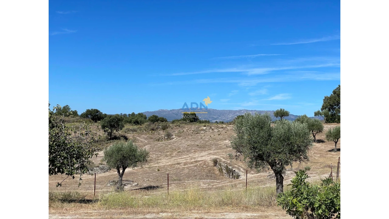 Quinta para Venda em São Miguel de Acha Foto 65