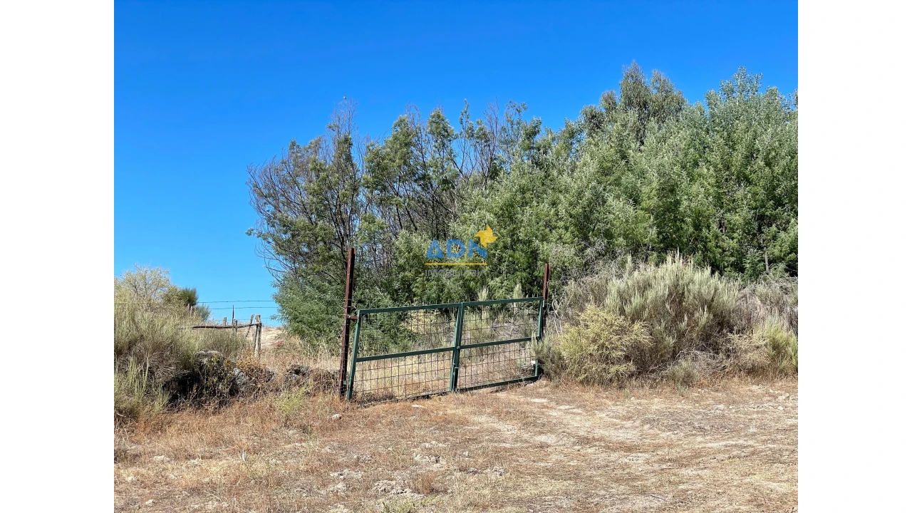Quinta para Venda em São Miguel de Acha Foto 66