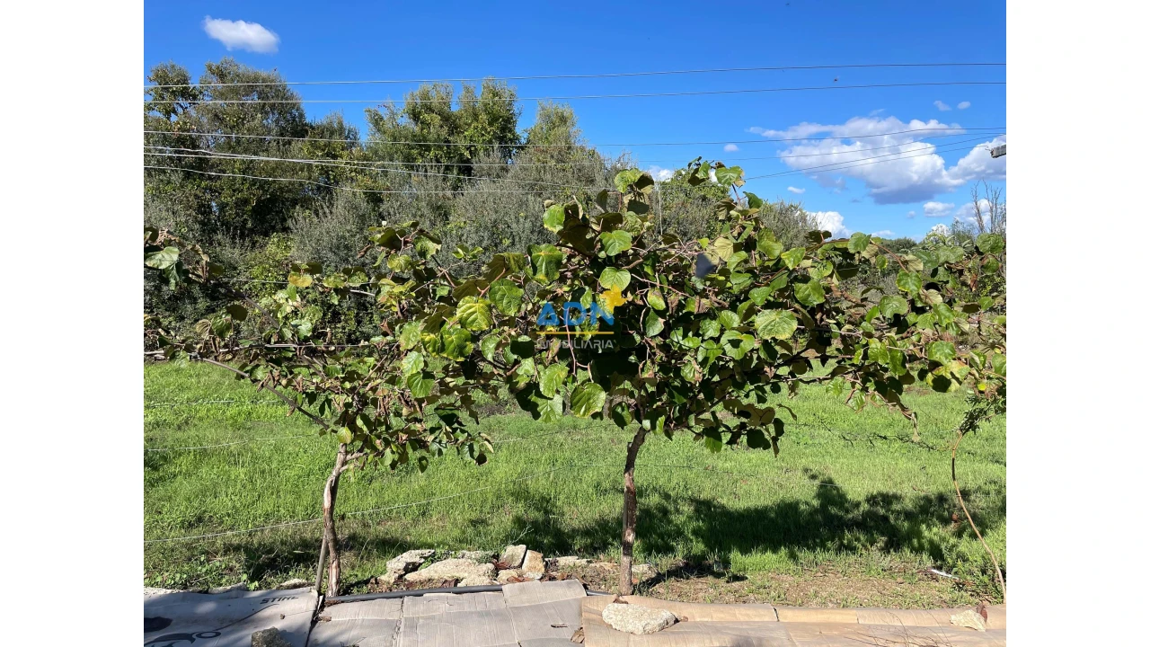 Quinta para Venda em São Miguel de Acha Foto 50