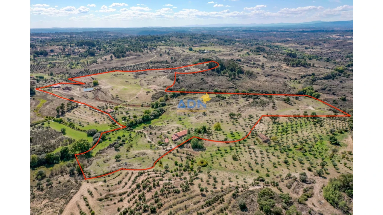 Quinta para Venda em São Miguel de Acha Foto 2