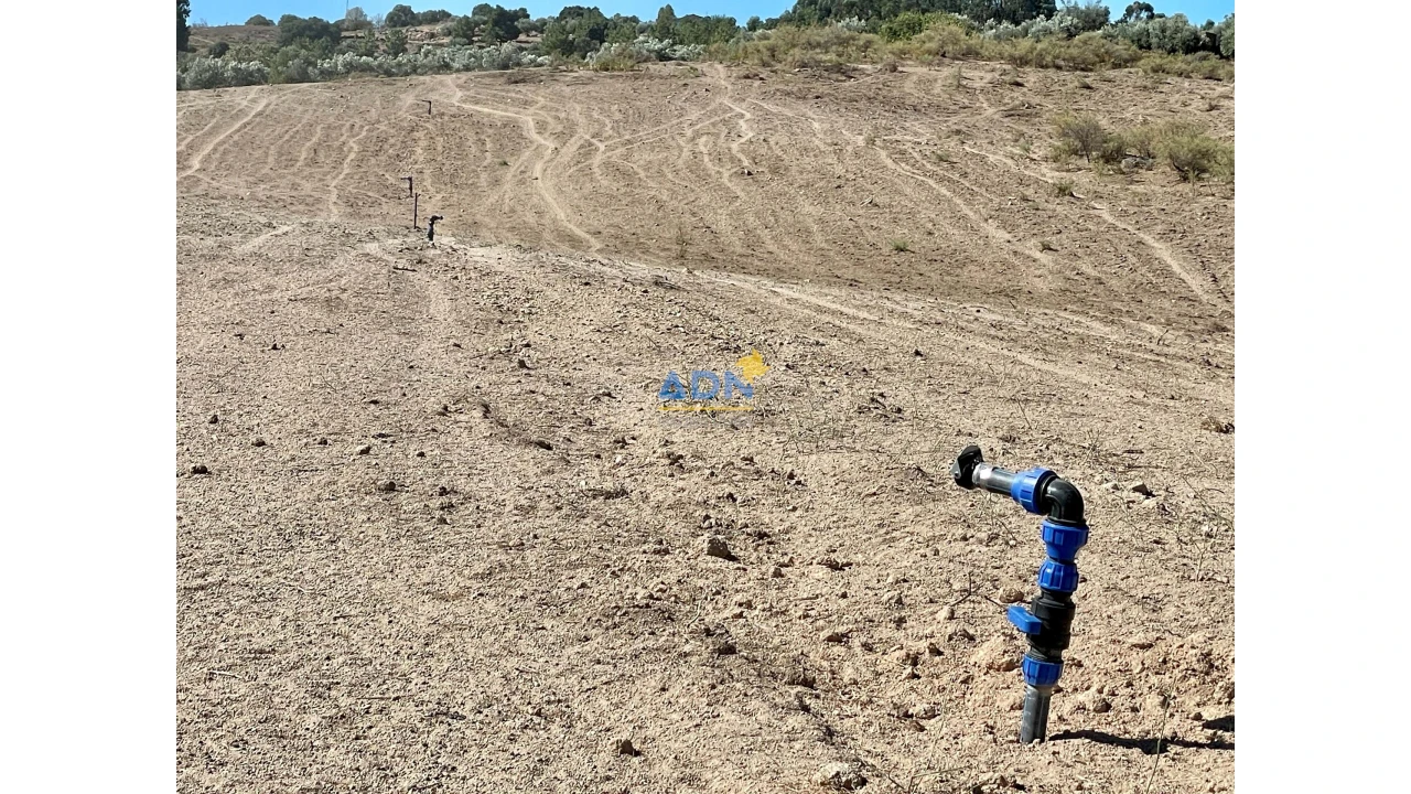 Quinta para Venda em São Miguel de Acha Foto 34