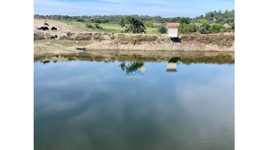Quinta para Venda em São Miguel de Acha Foto 37