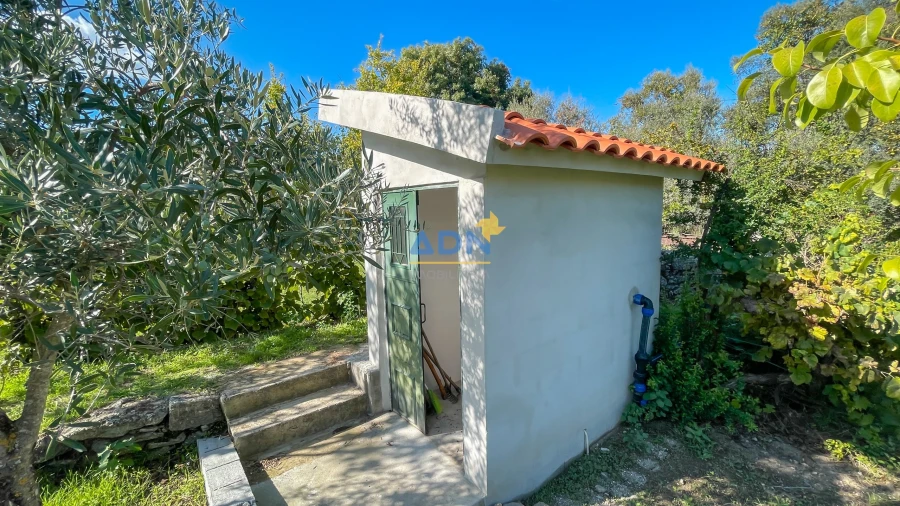 Quinta para Venda em São Miguel de Acha Foto 54