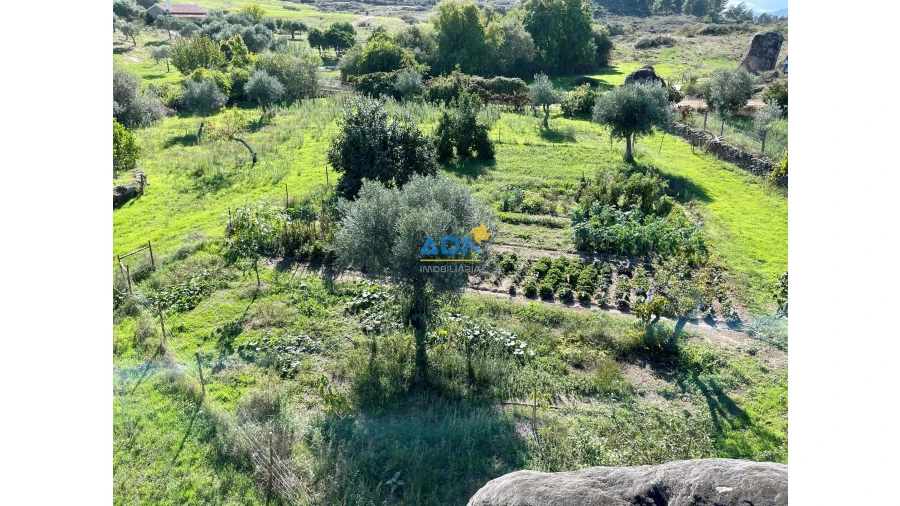 Quinta para Venda em São Miguel de Acha Foto 23