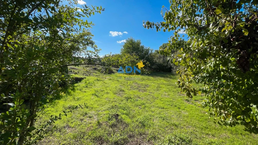 Quinta para Venda em São Miguel de Acha Foto 22