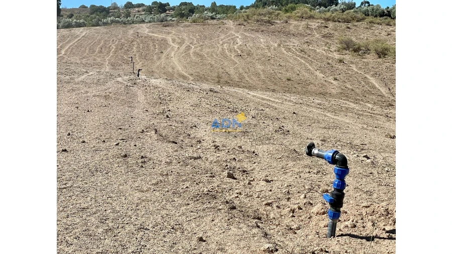 Quinta para Venda em São Miguel de Acha Foto 34