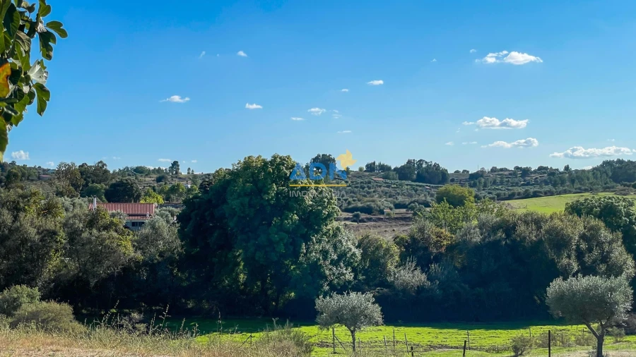 Quinta para Venda em São Miguel de Acha Foto 30