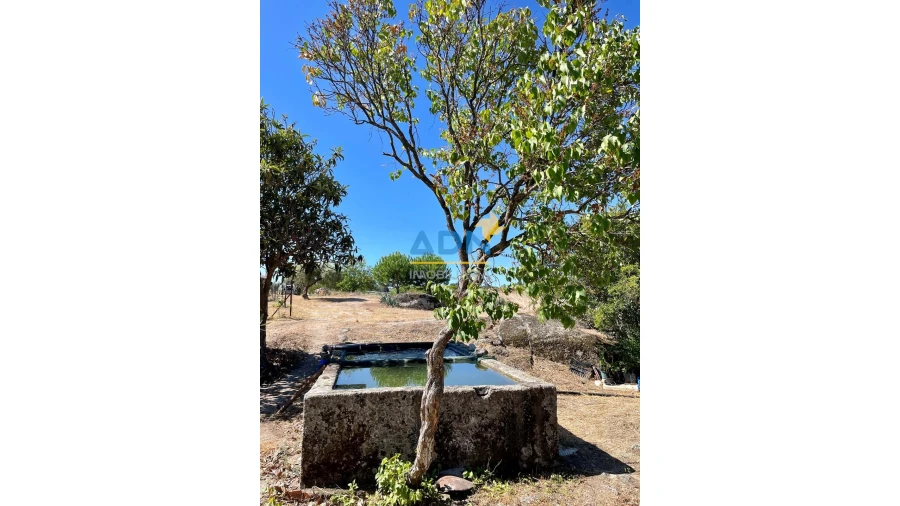 Quinta para Venda em São Miguel de Acha Foto 56