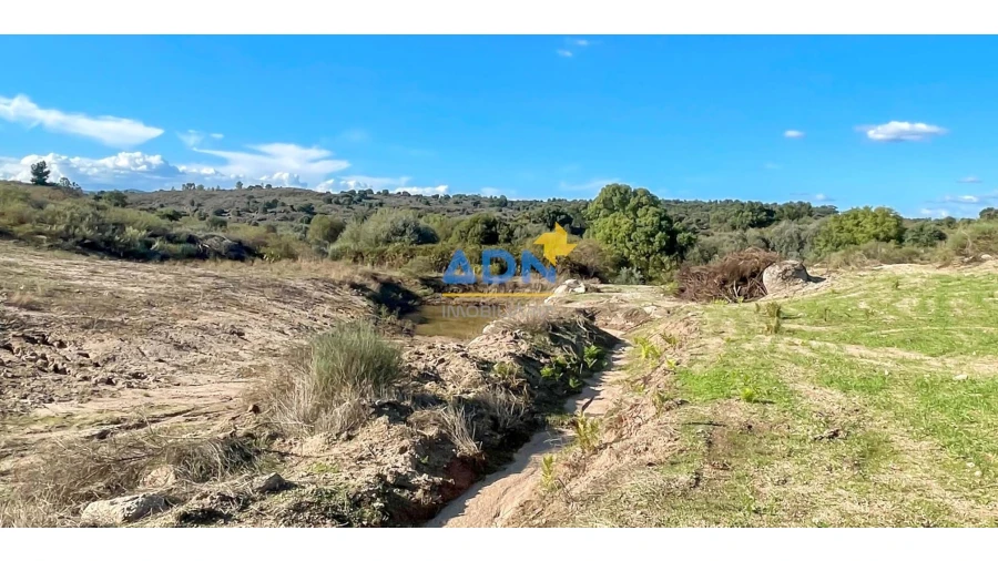 Quinta para Venda em São Miguel de Acha Foto 51