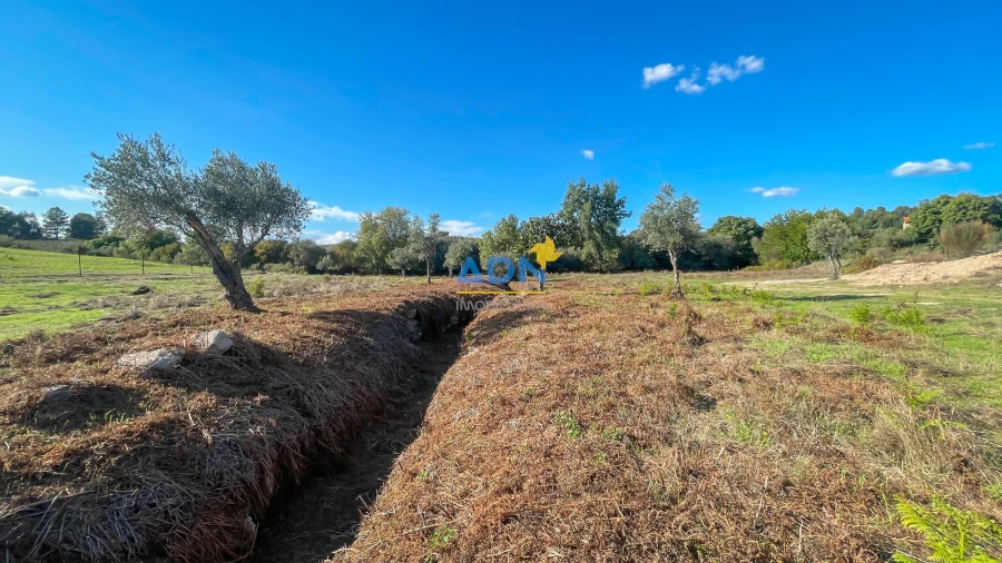 Quinta para Venda em São Miguel de Acha Foto 64