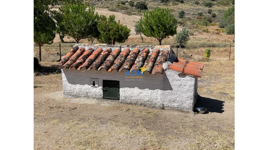 Quinta para Venda em São Miguel de Acha Foto 44