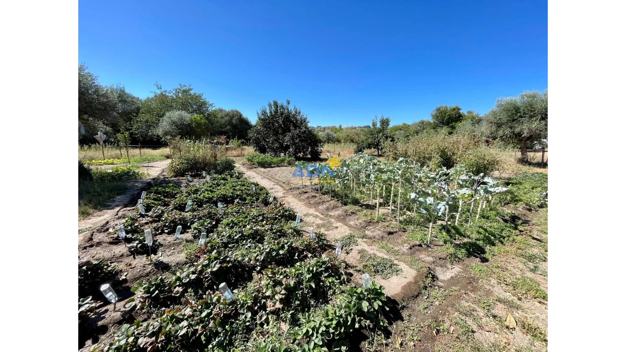 Quinta para Venda em São Miguel de Acha Foto 57