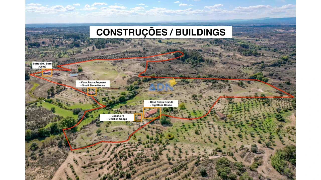 Quinta para Venda em São Miguel de Acha Foto 3