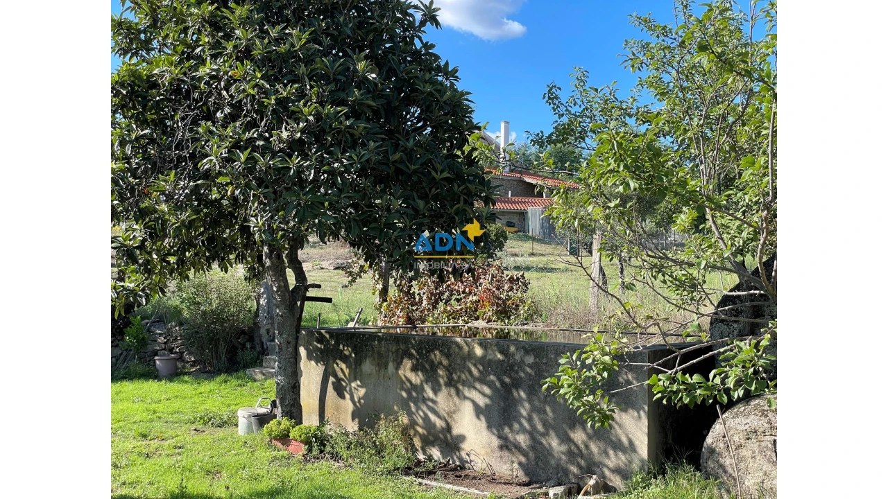 Quinta para Venda em São Miguel de Acha Foto 20